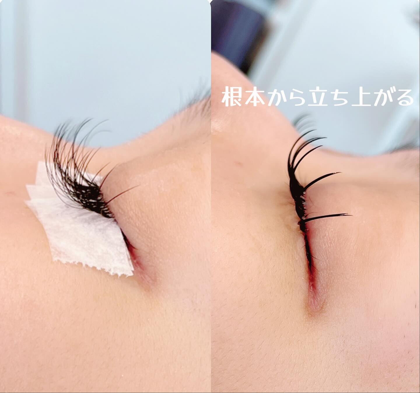 草加の皆さん、こんにちは！✨